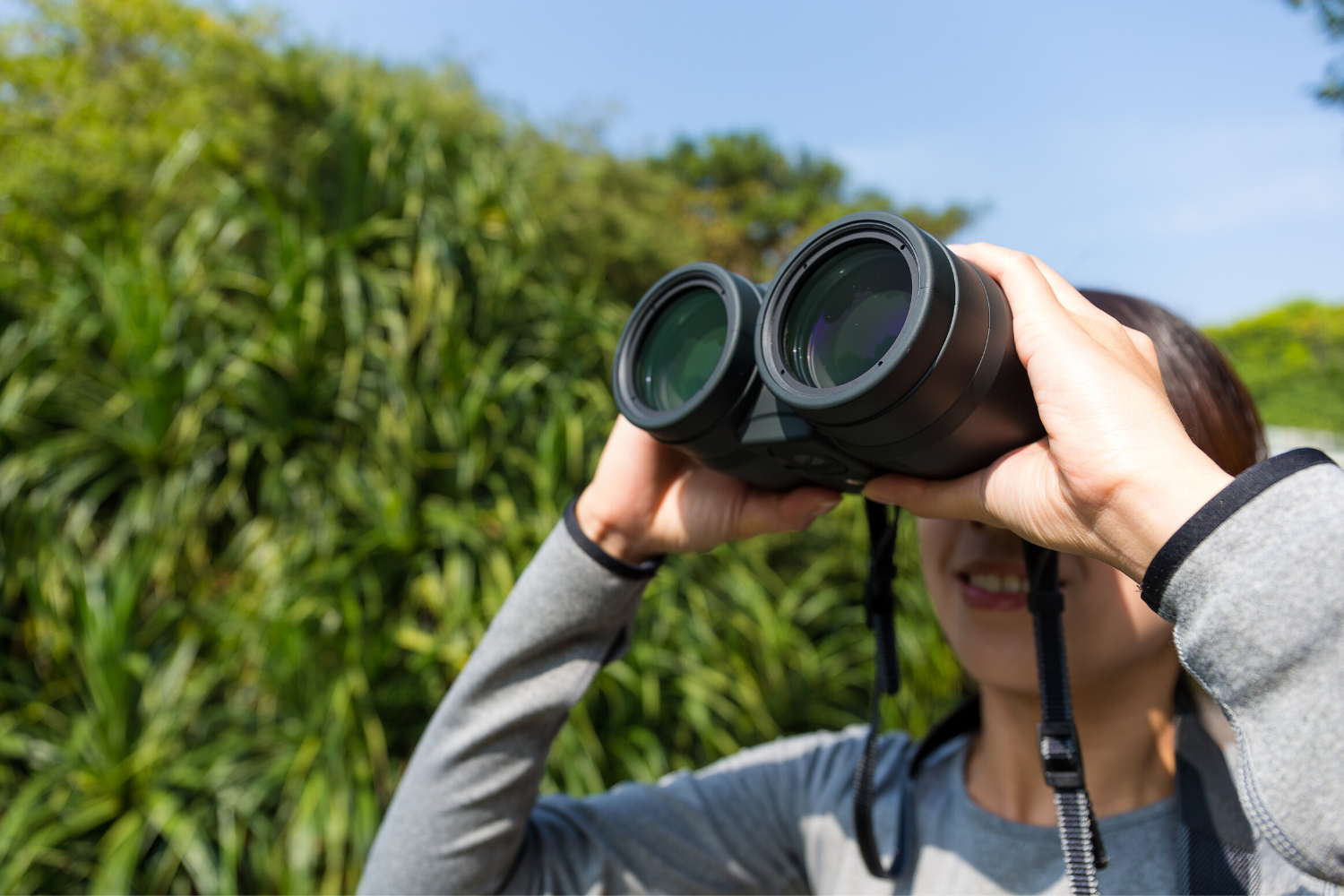 bird watching