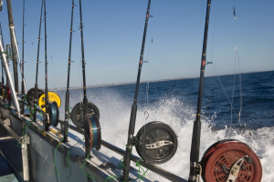 biloxi fishing charters