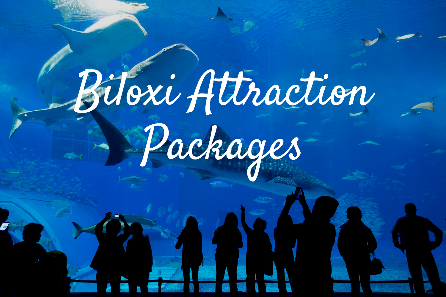 Biloxi Attractions aquarium