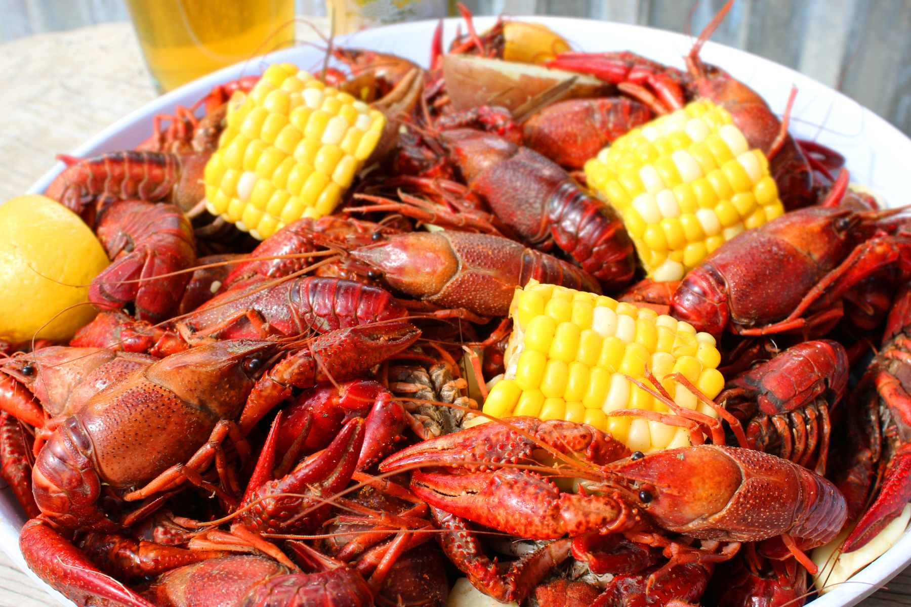 The Best Guide to the 2023 Crawfish Music Festival in Biloxi Biloxi
