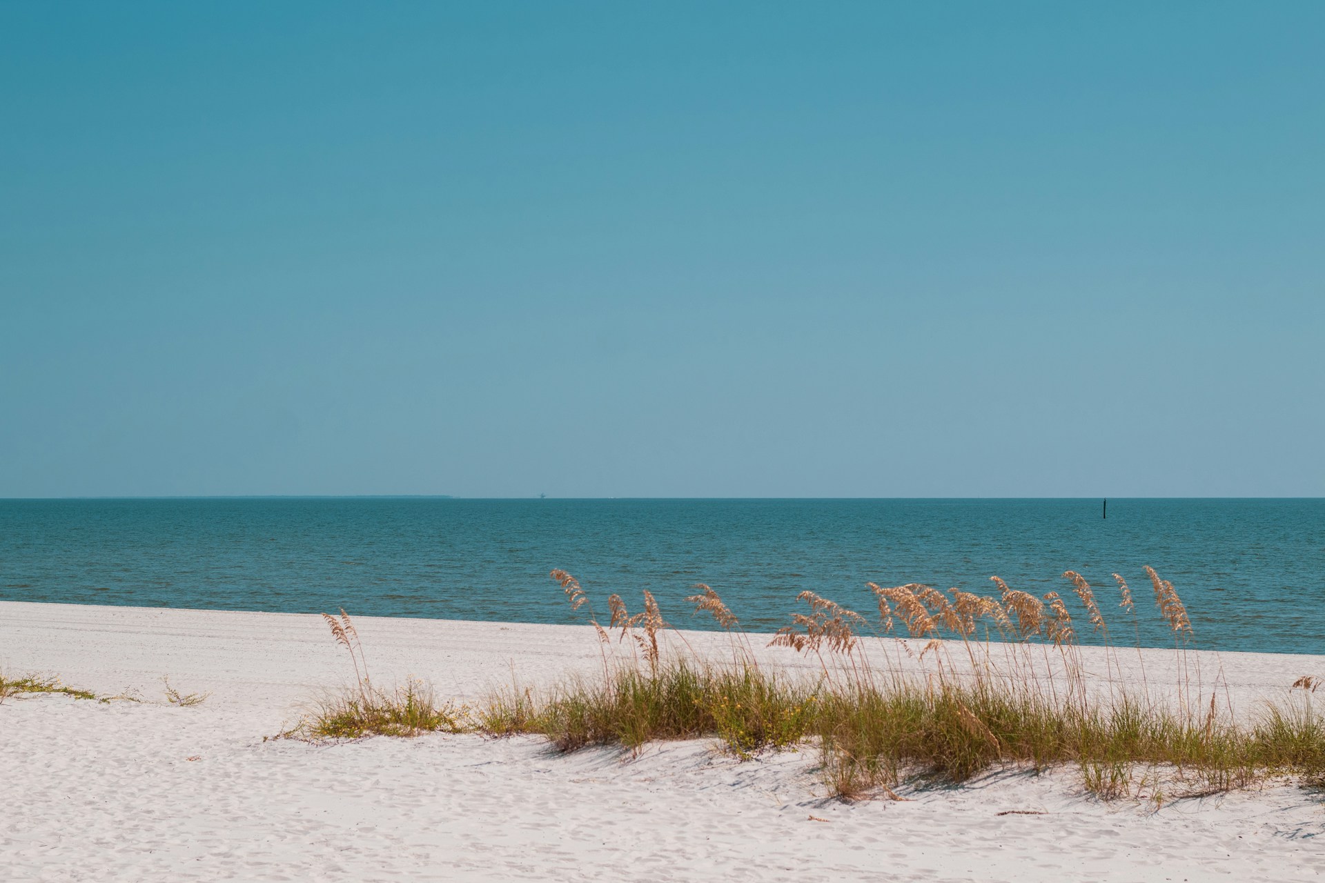 Biloxi activities